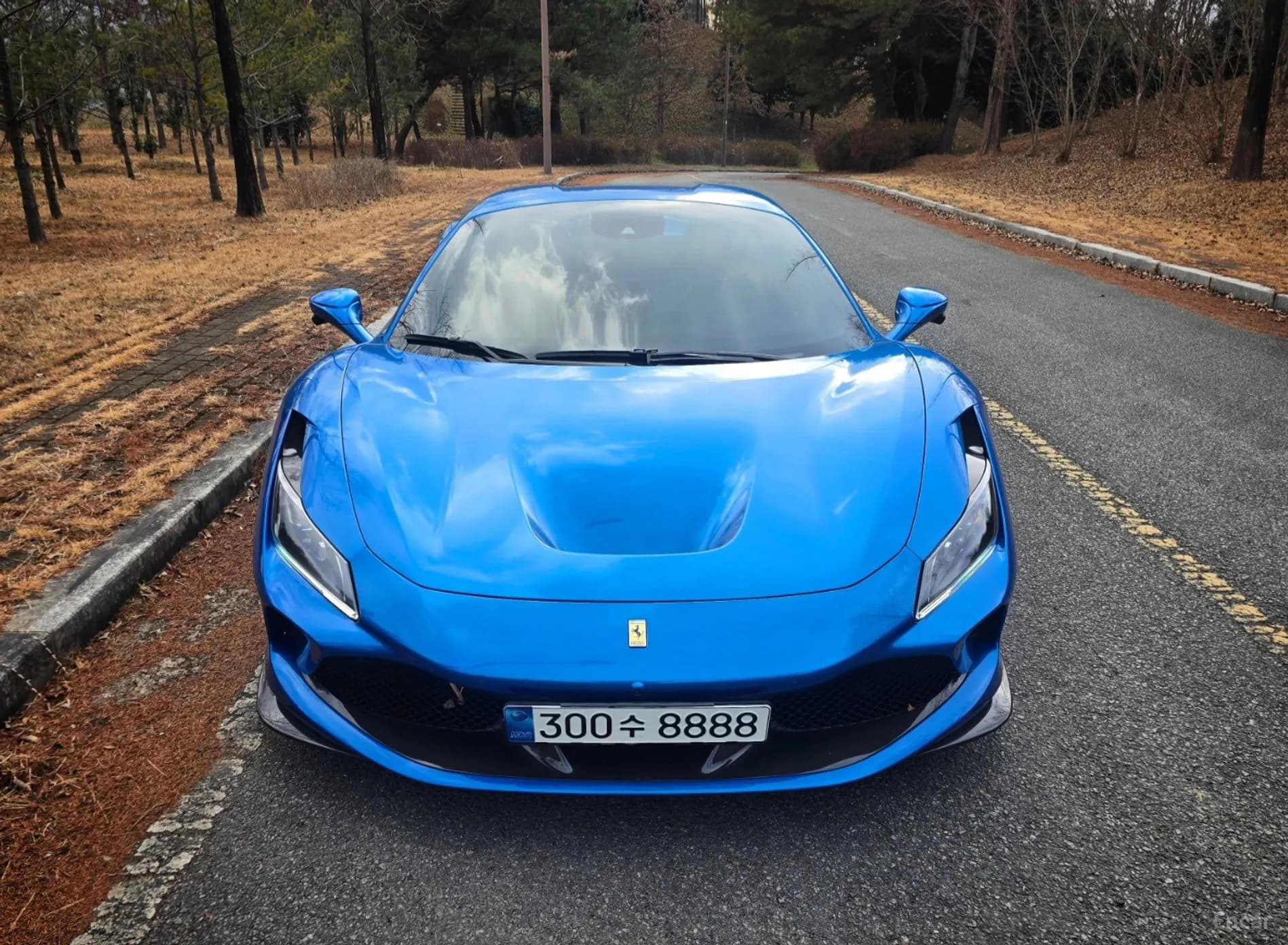 F8 Spider