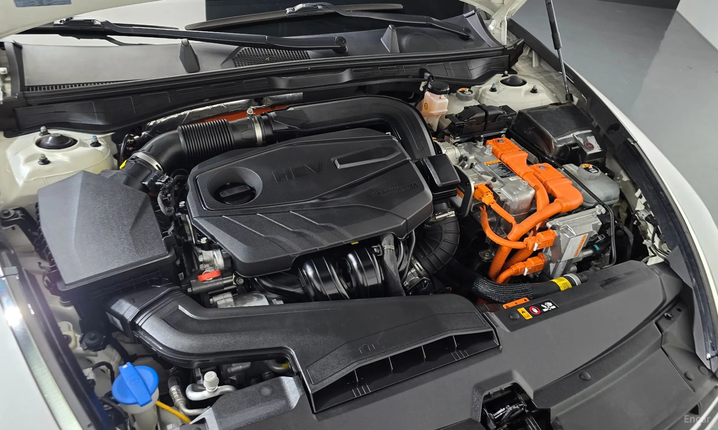 Sonata Hybrid (DN8)