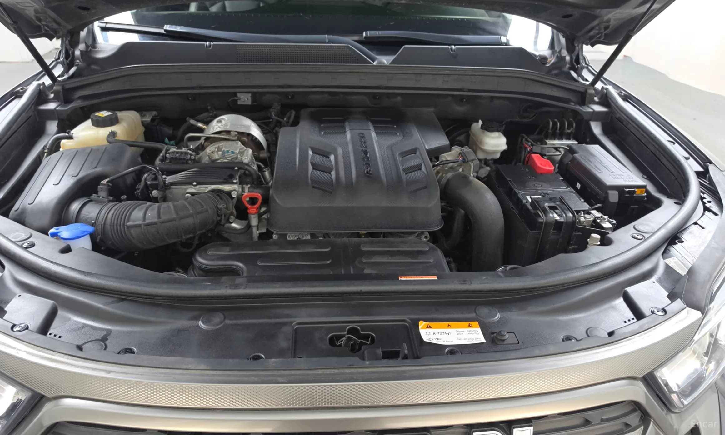 Rexton Sports Khan