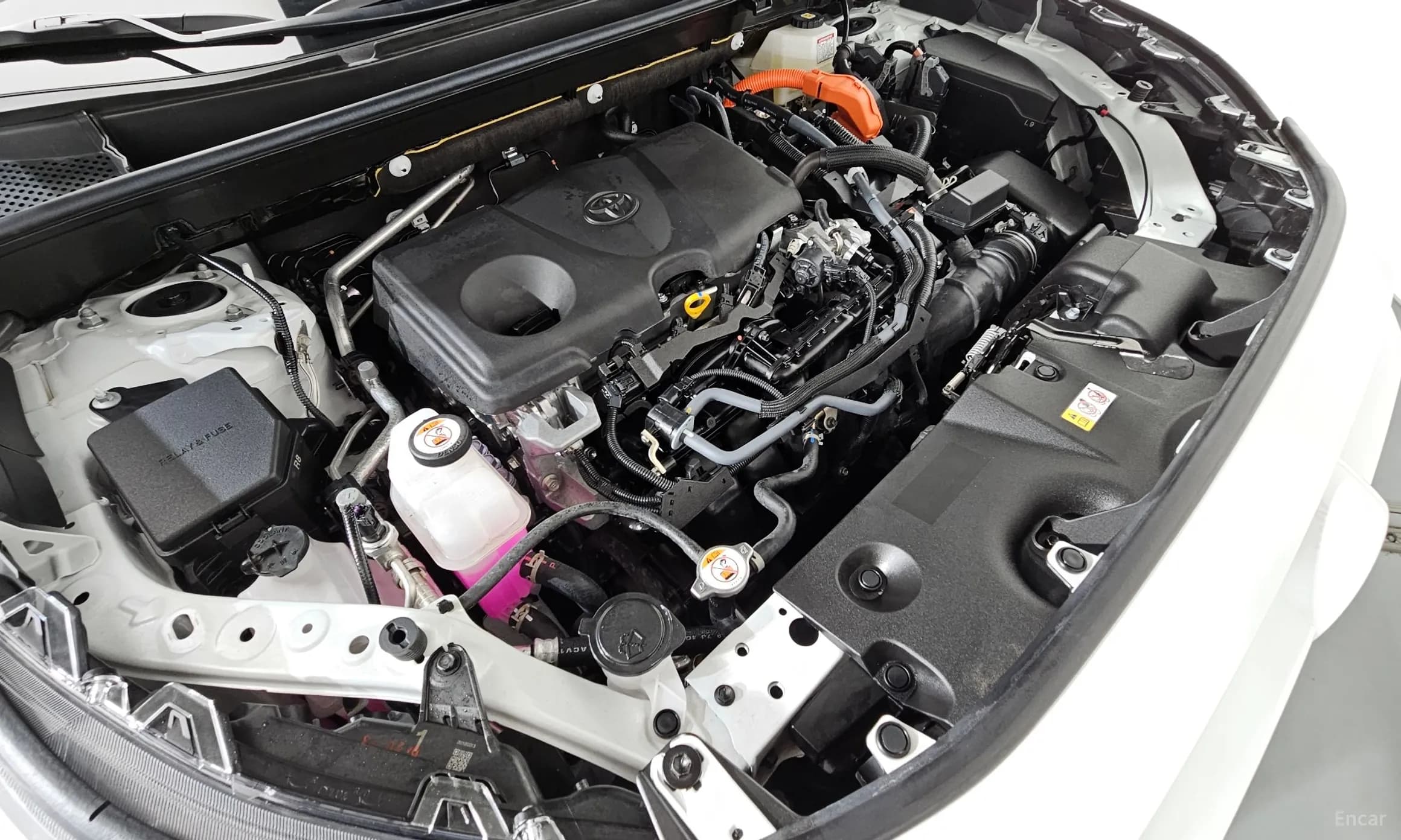 RAV4 5th Generation