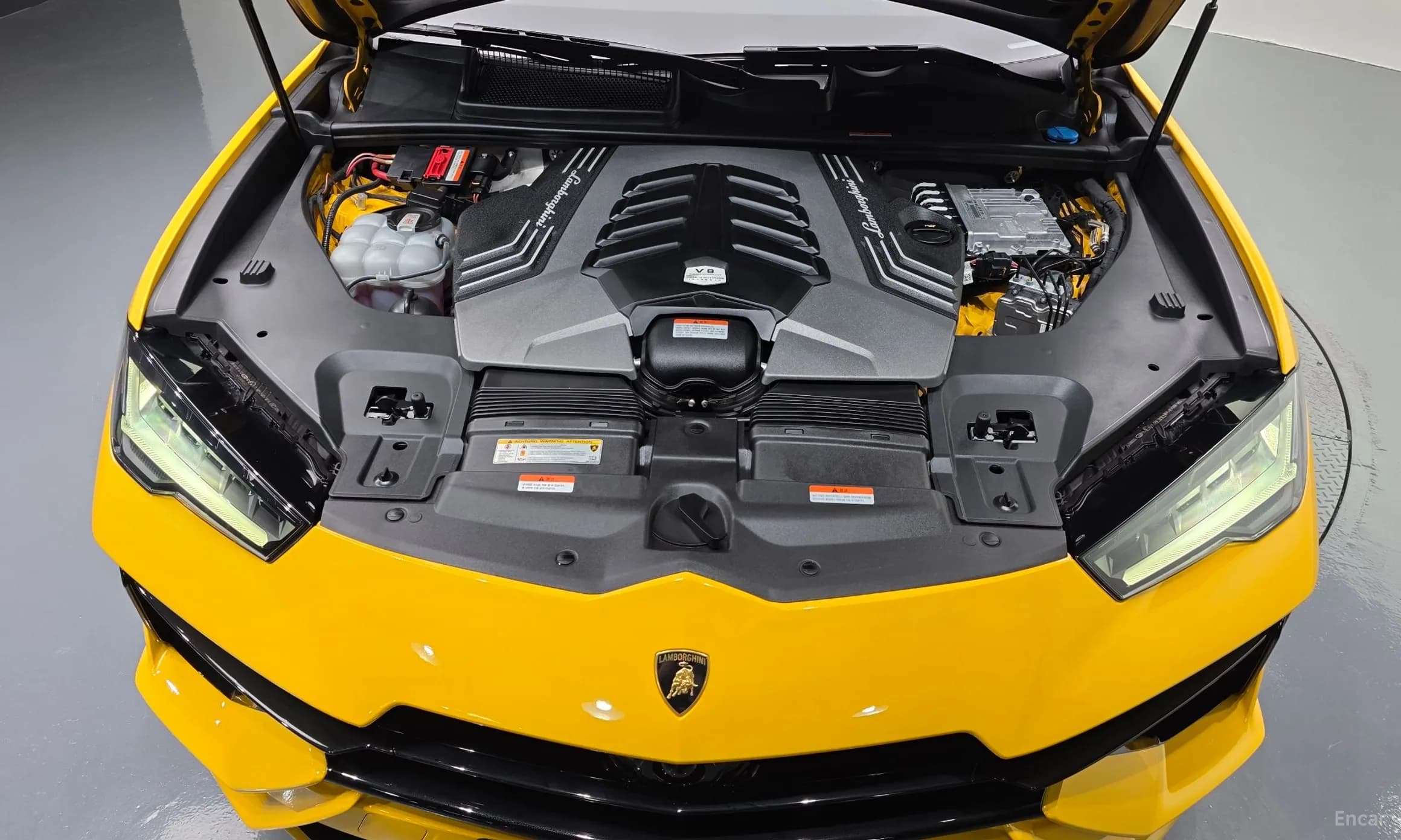 Urus