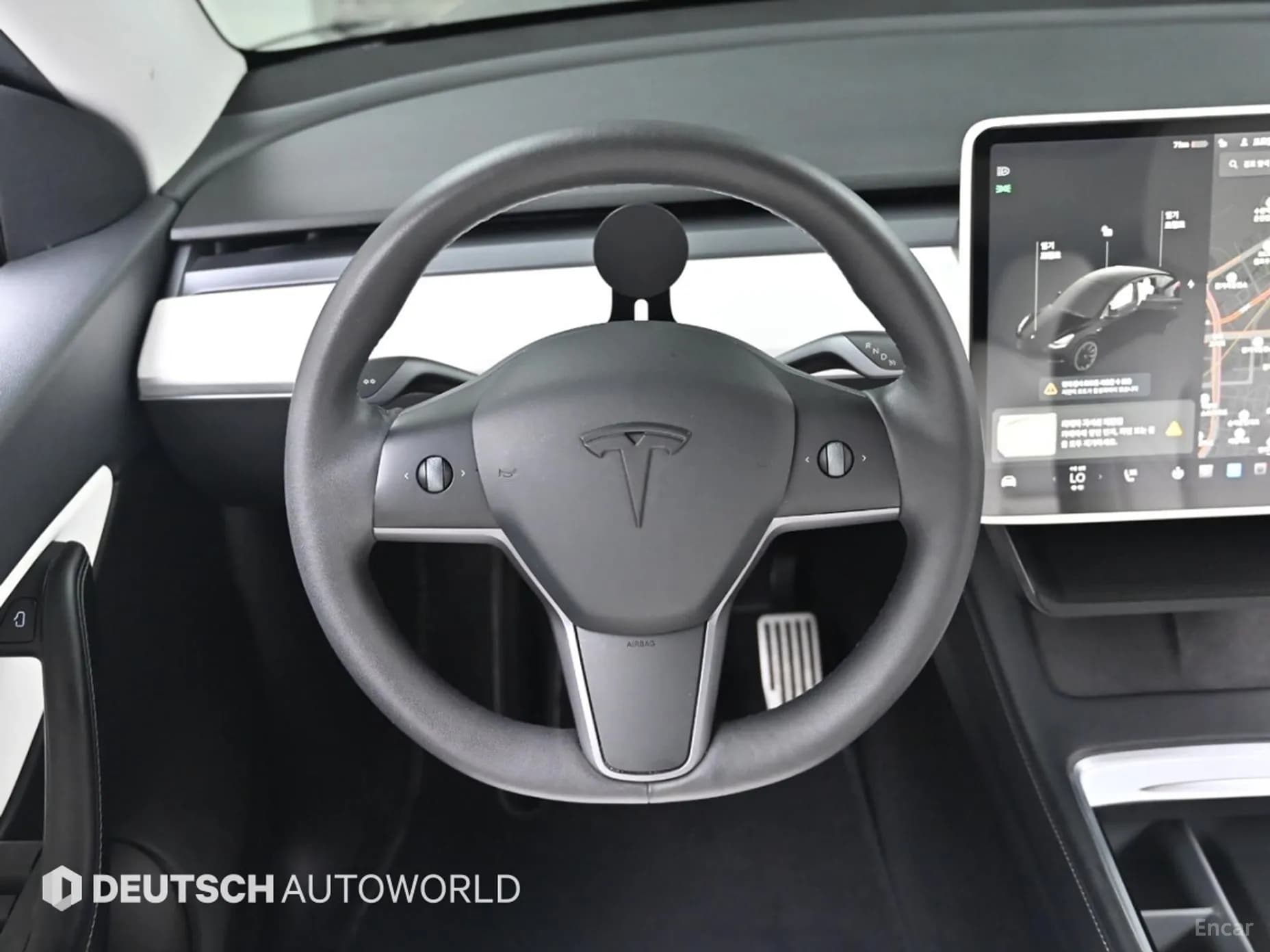 Model Y
