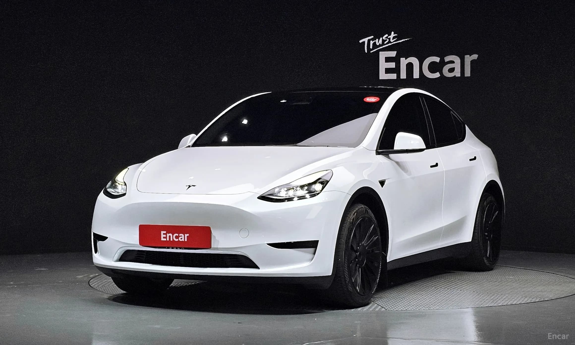 Model Y