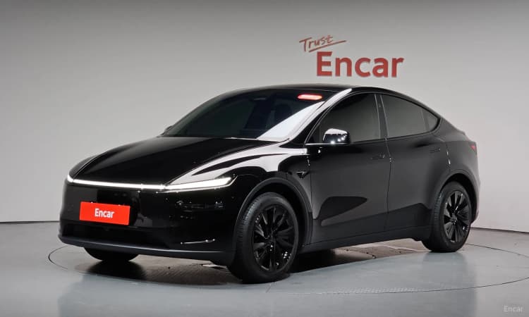 Model Y