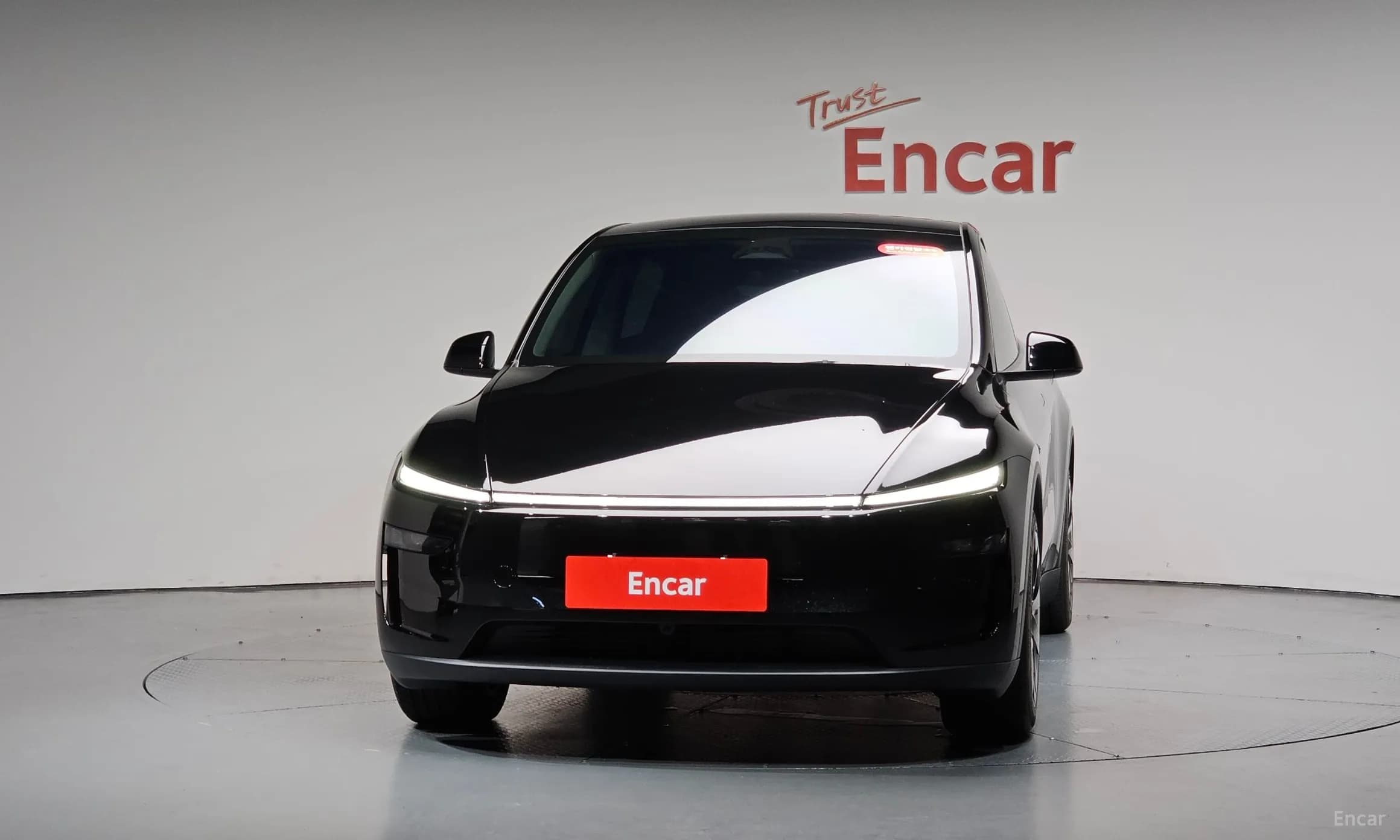 Model Y