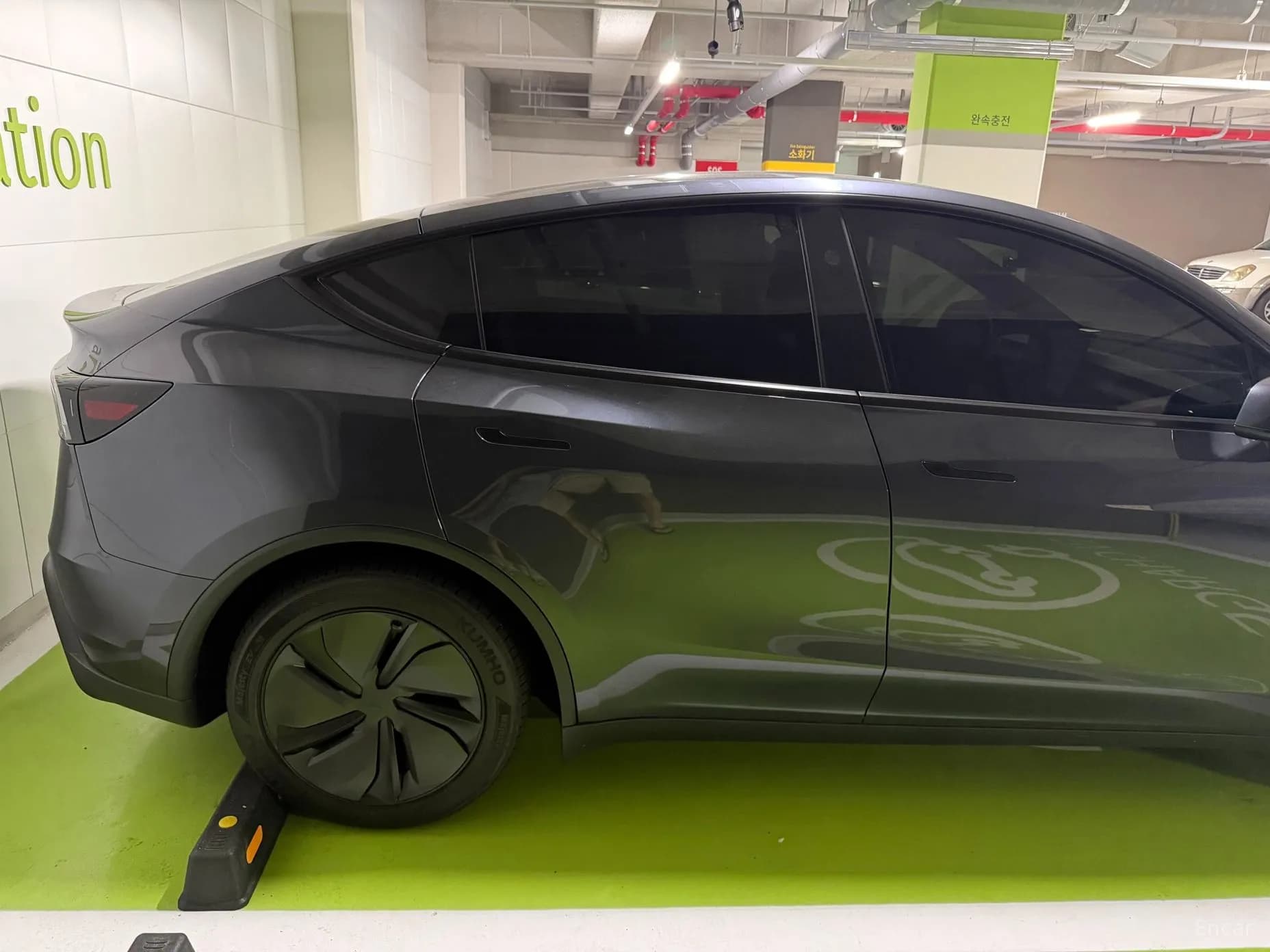 Model Y