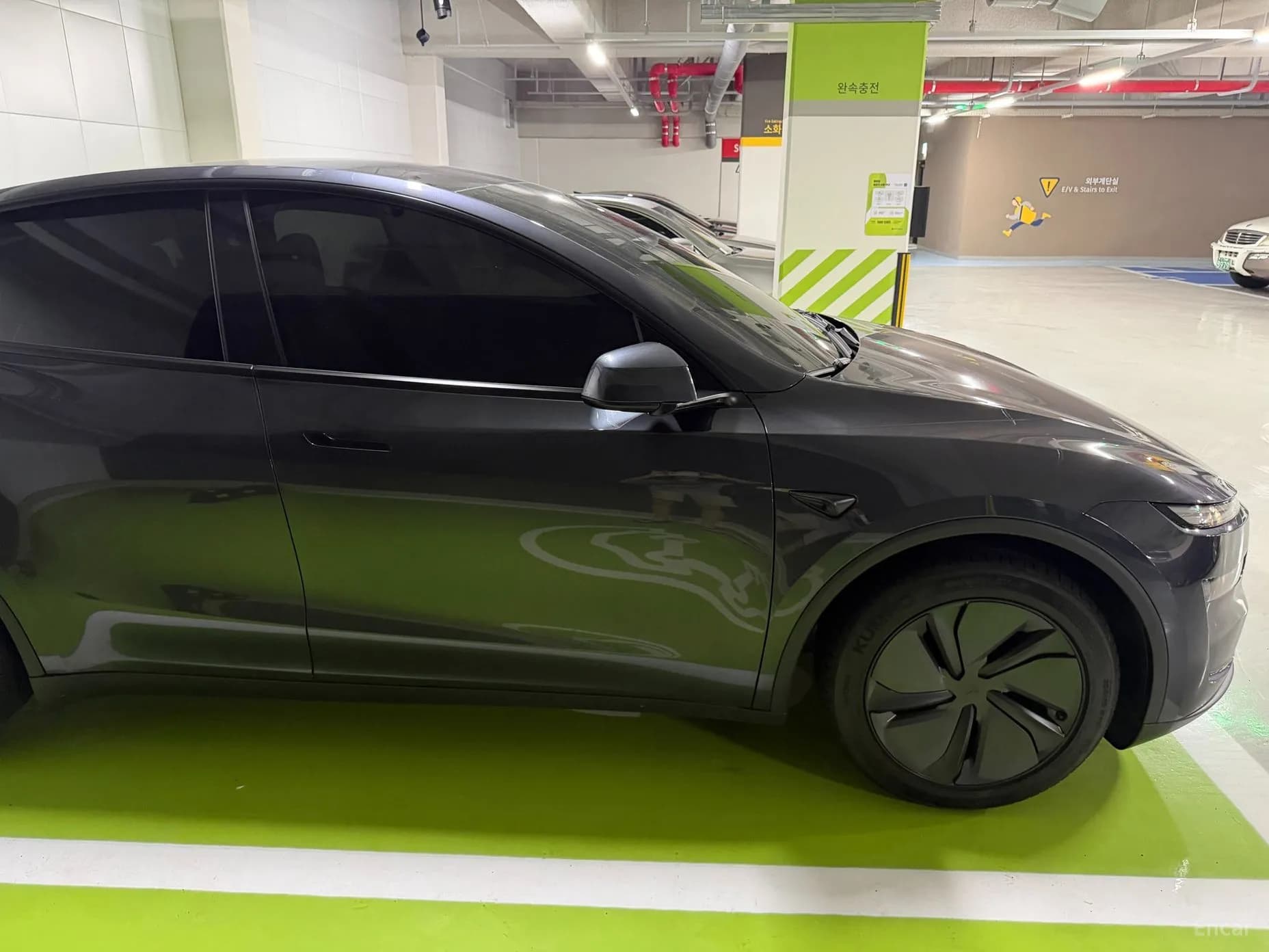Model Y