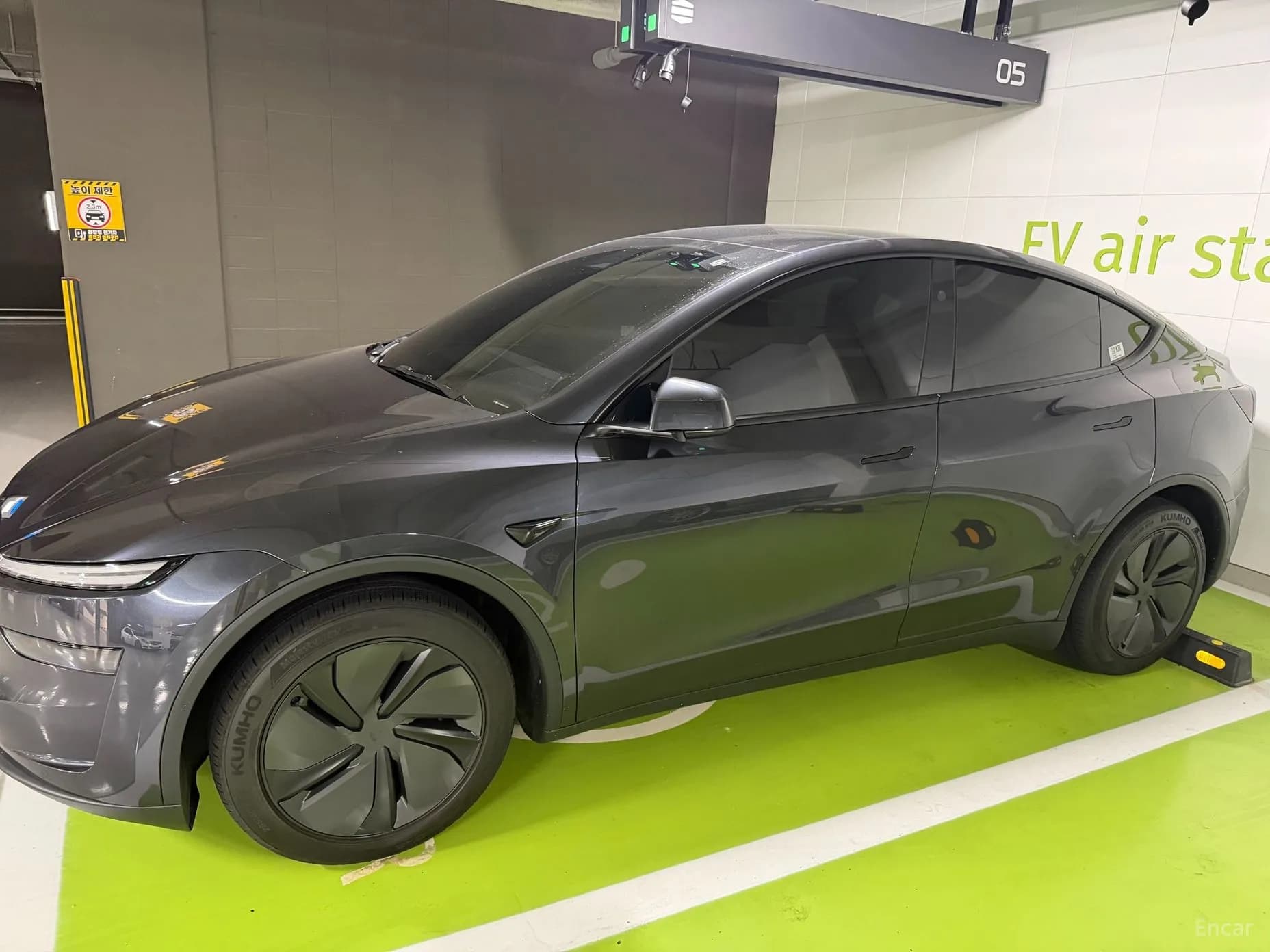 Model Y