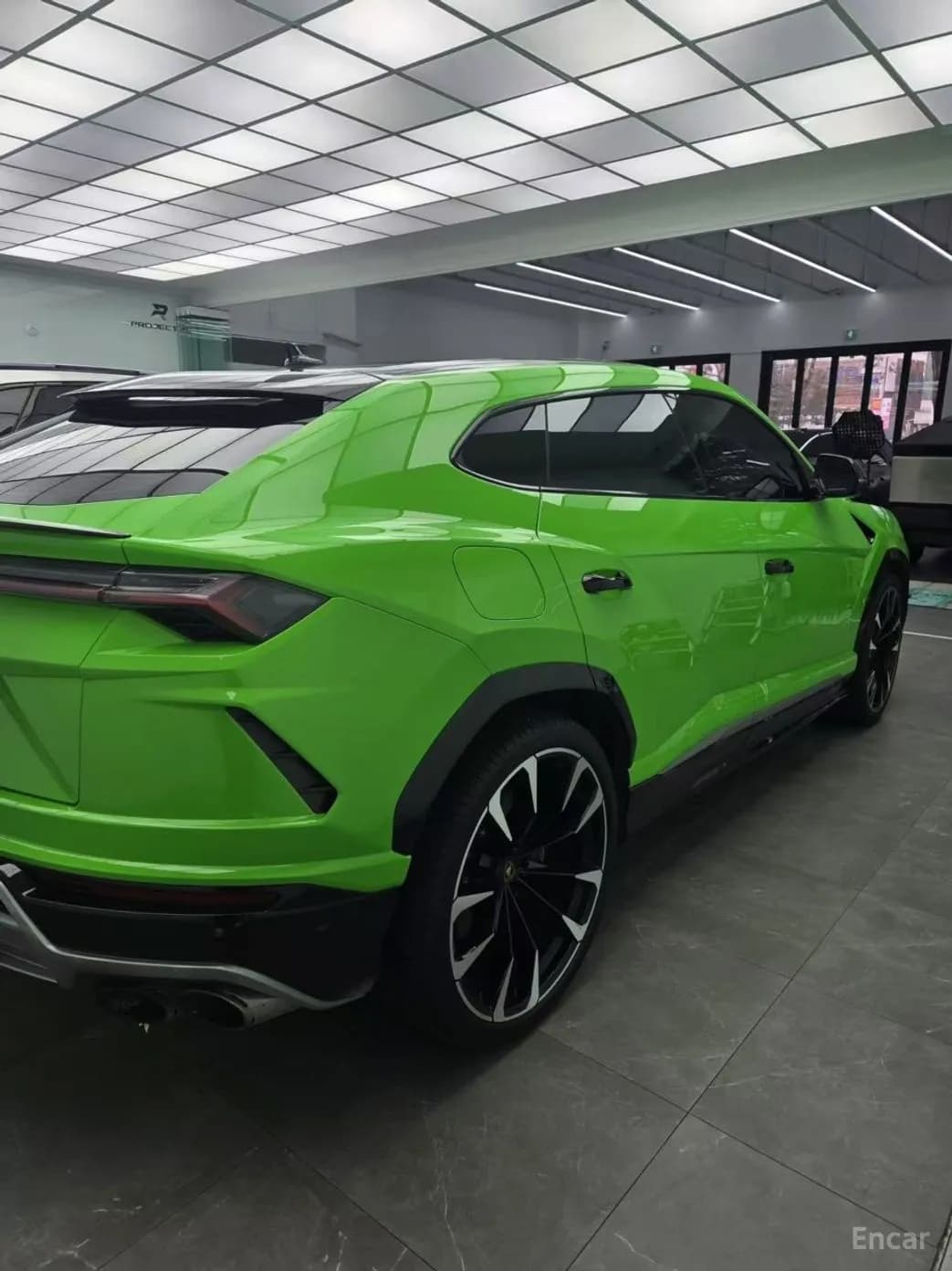 Urus