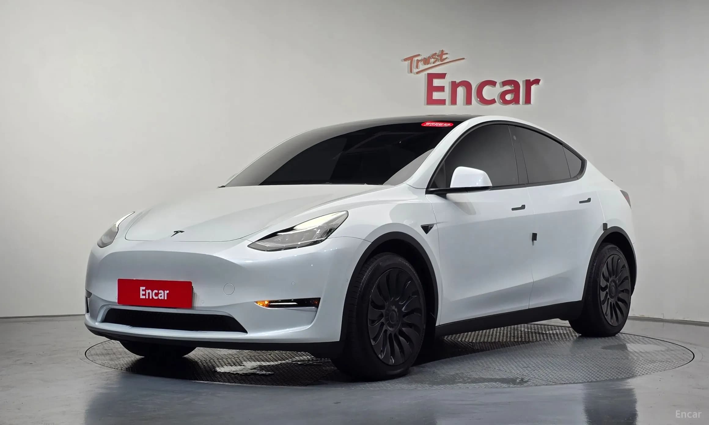 Model Y