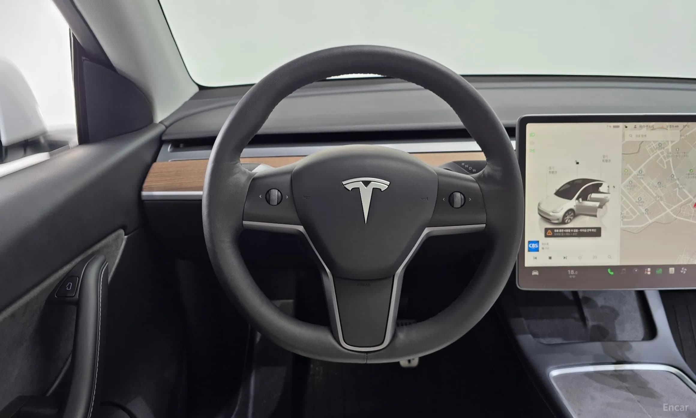 Model Y