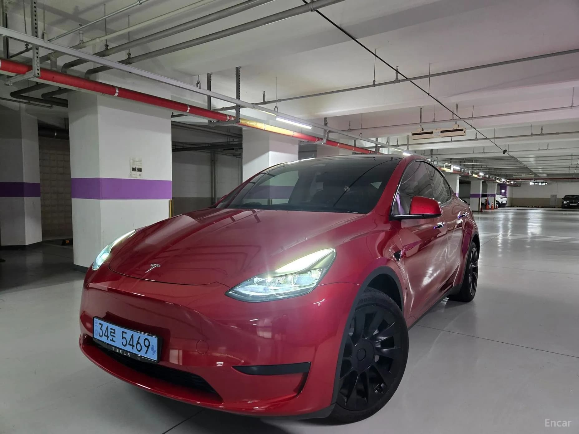 Model Y