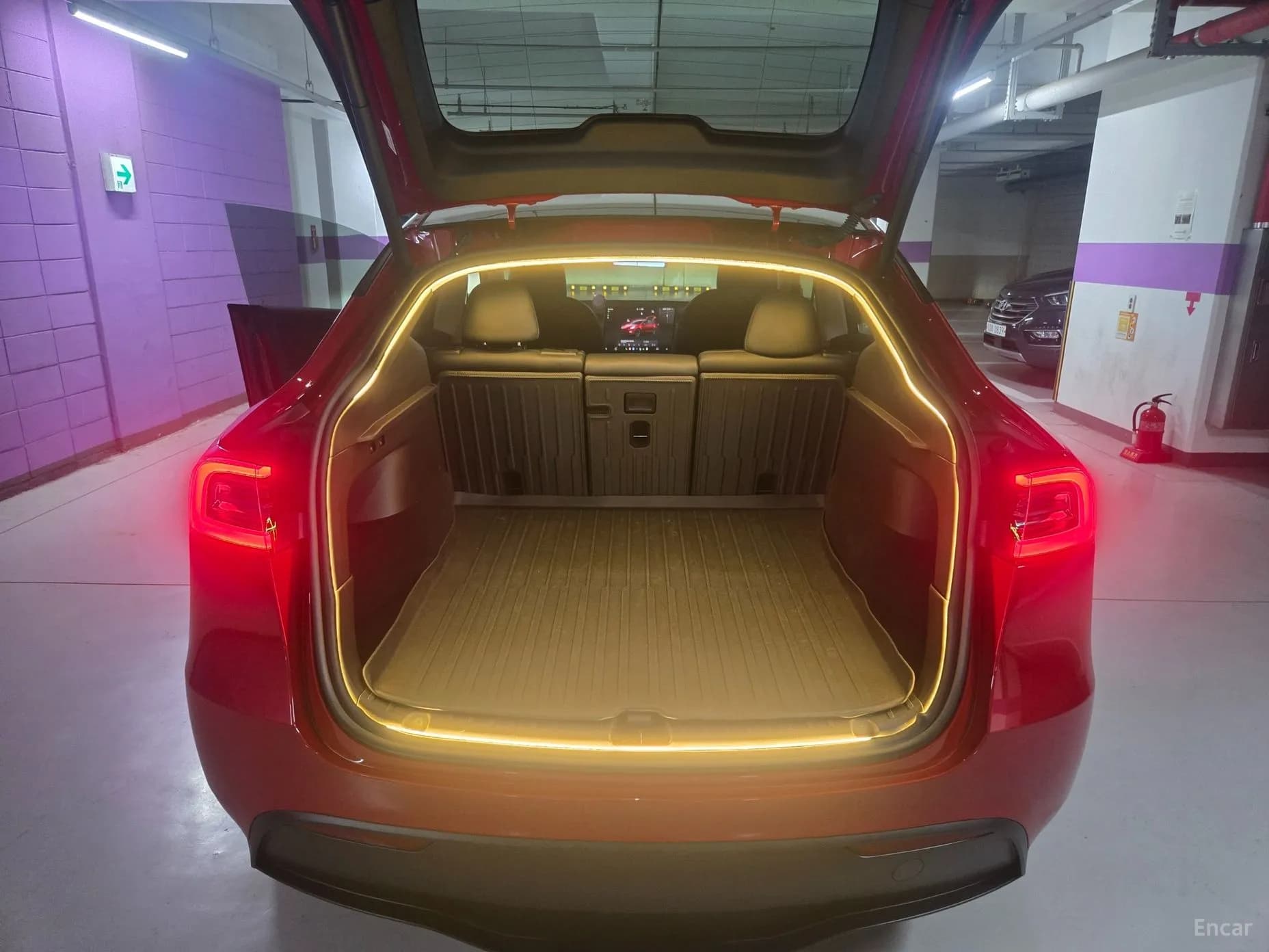 Model Y