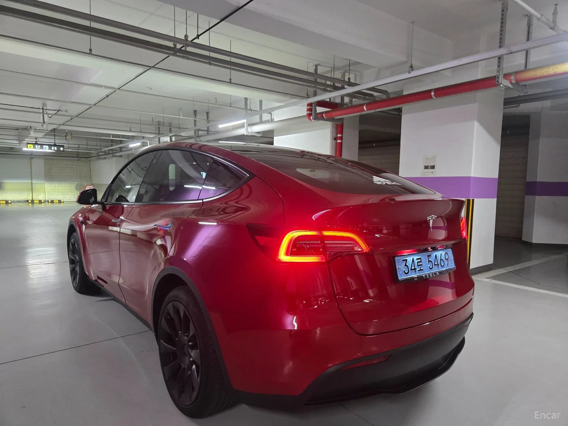 Model Y