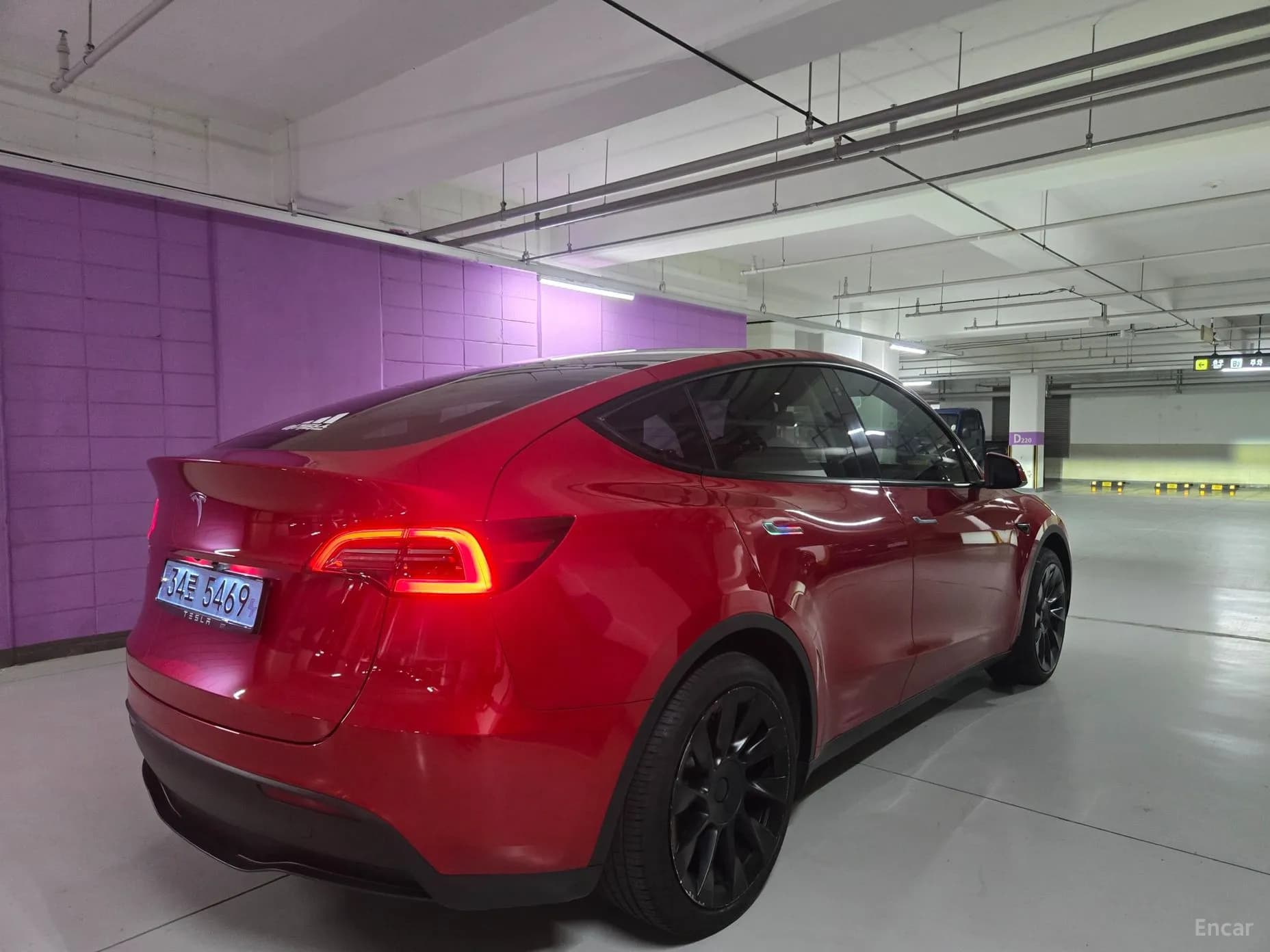 Model Y