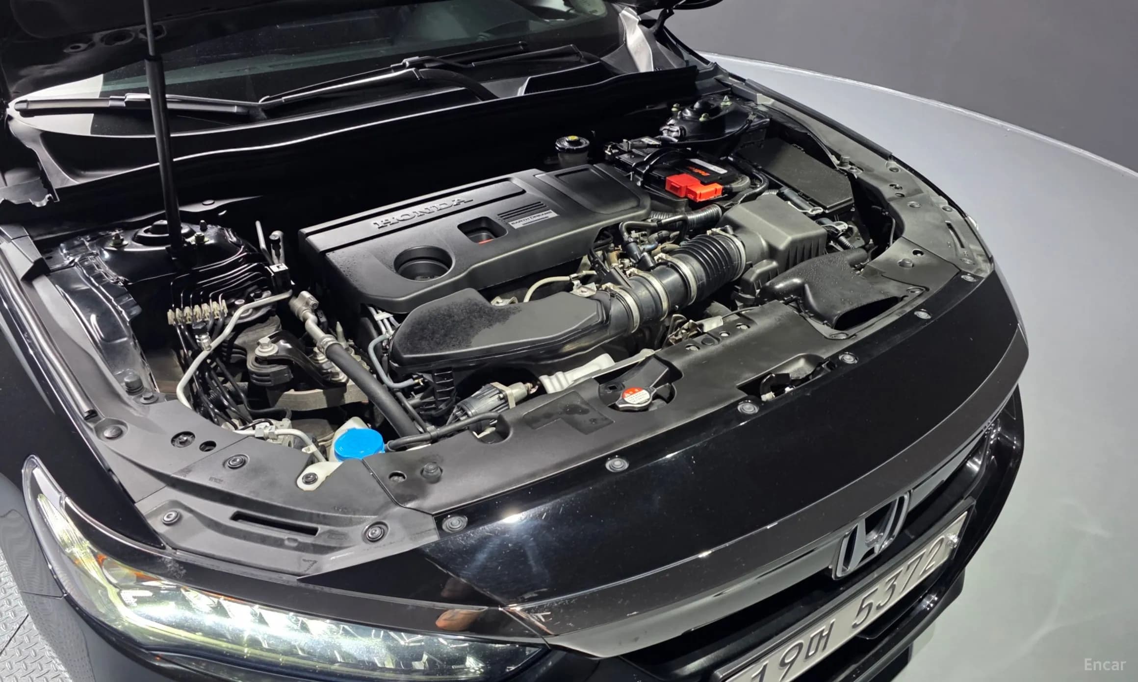 Accord 10th Generation