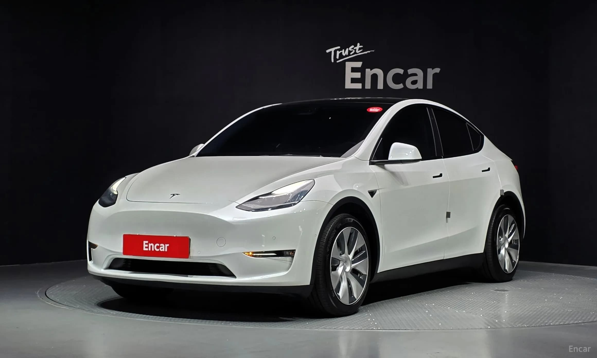 Model Y