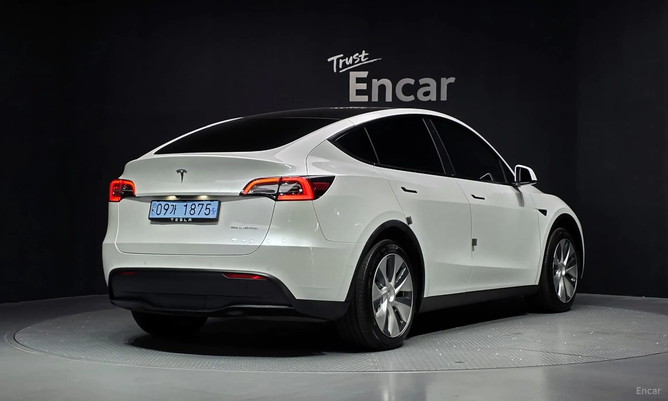 Model Y