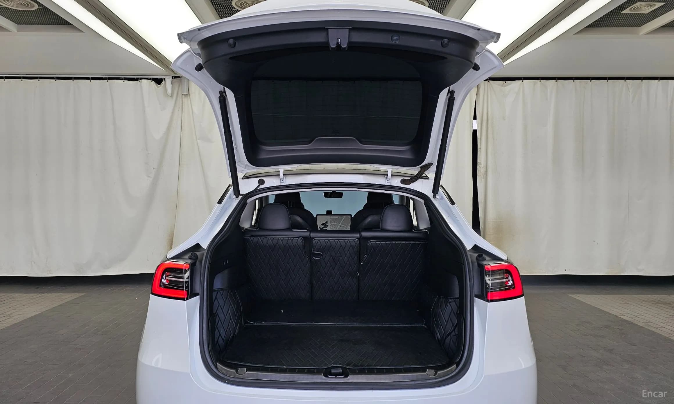 Model Y