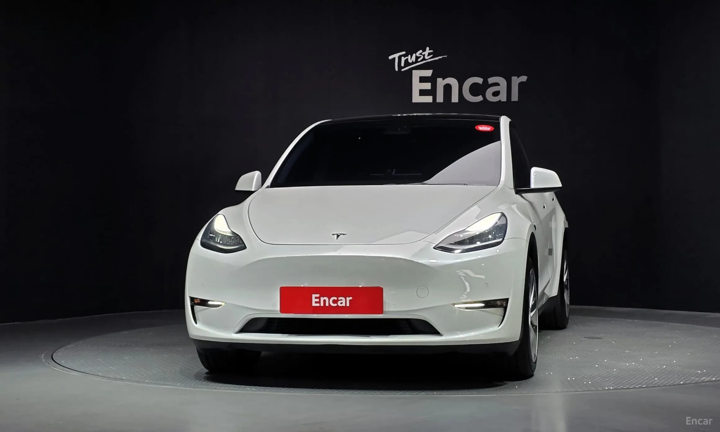 Model Y