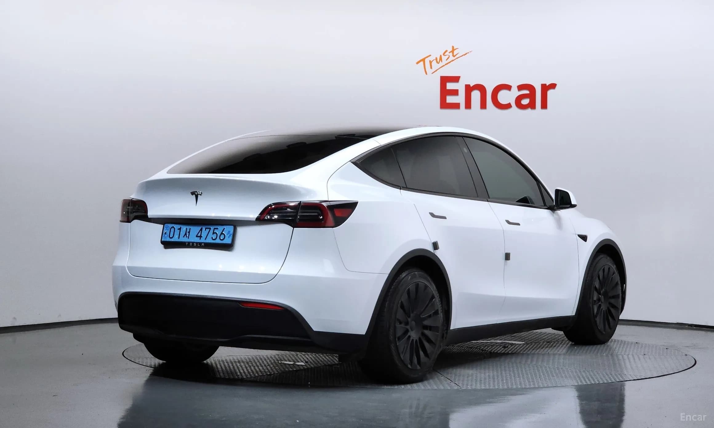Model Y