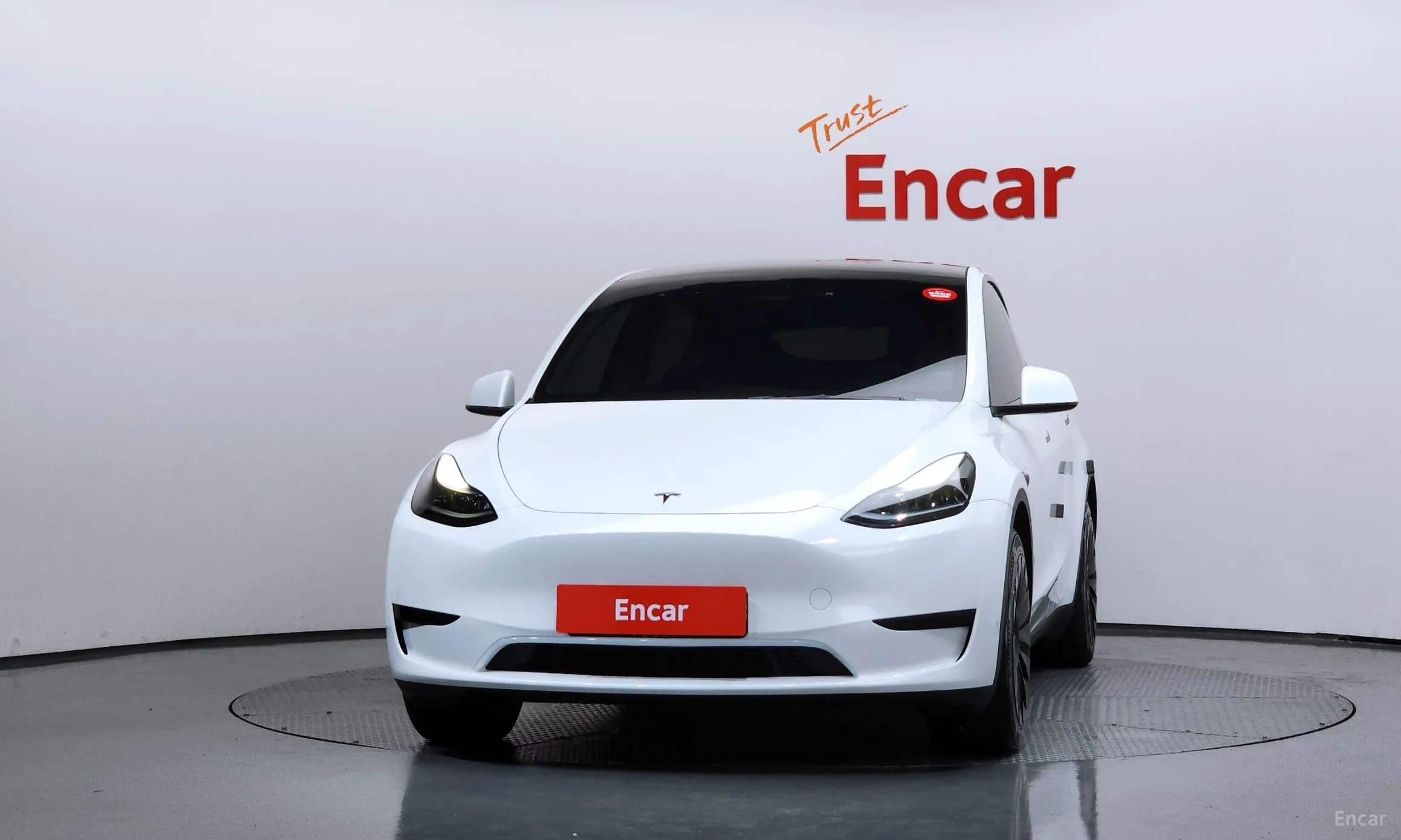 Model Y