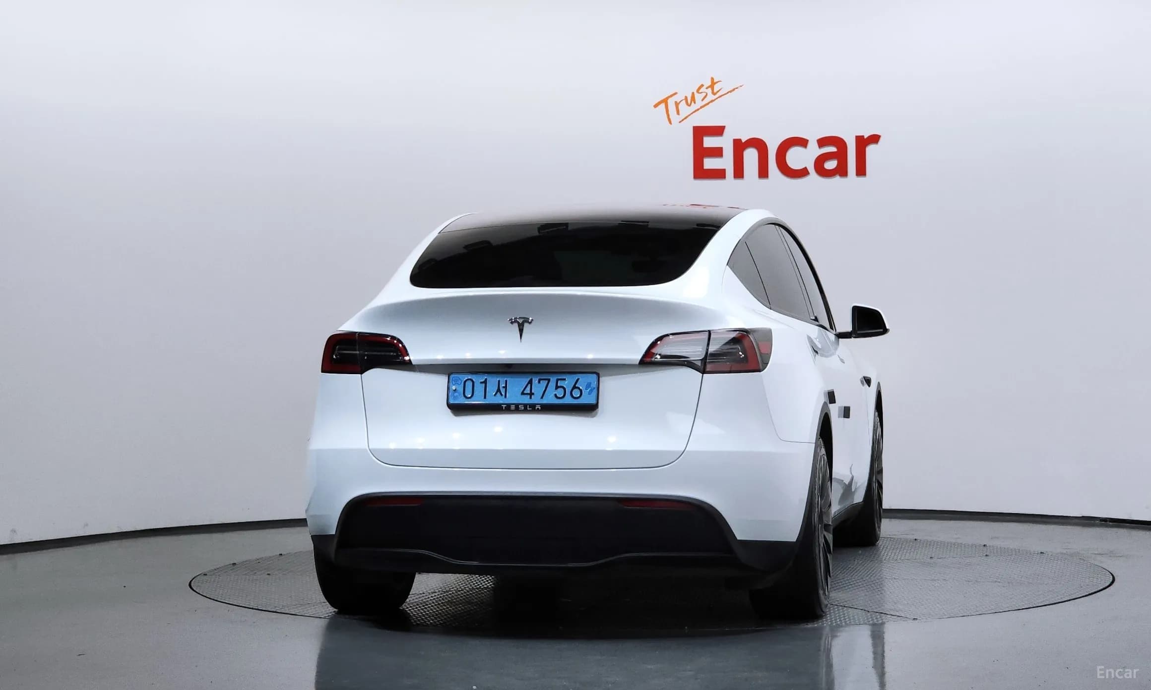 Model Y
