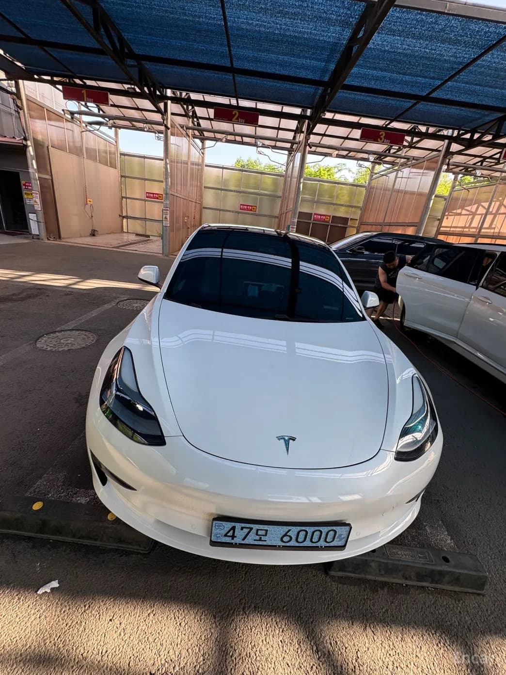 Model 3