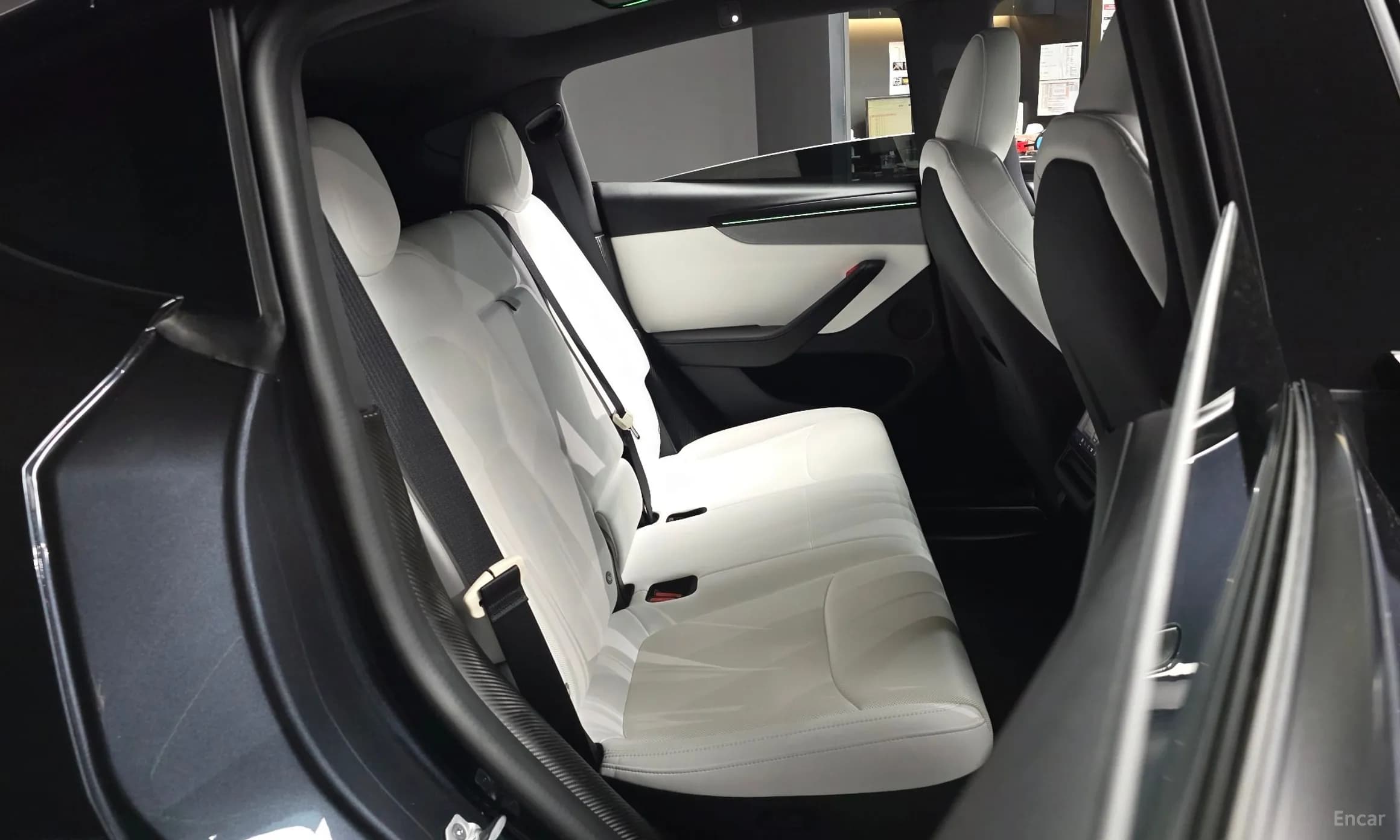 Model Y