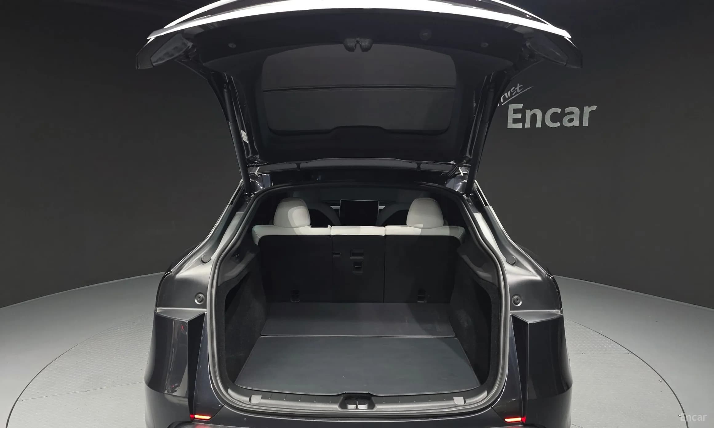 Model Y