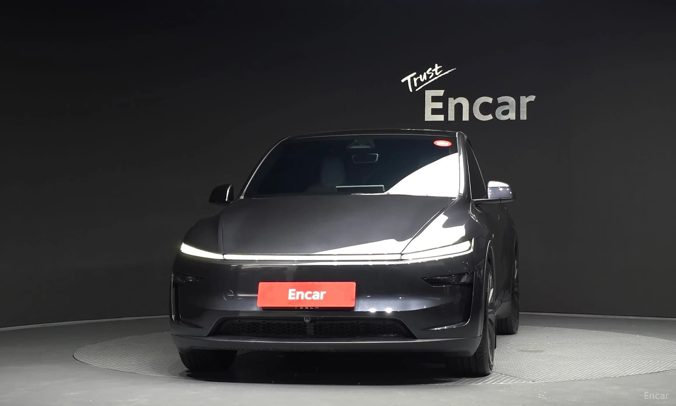 Model Y