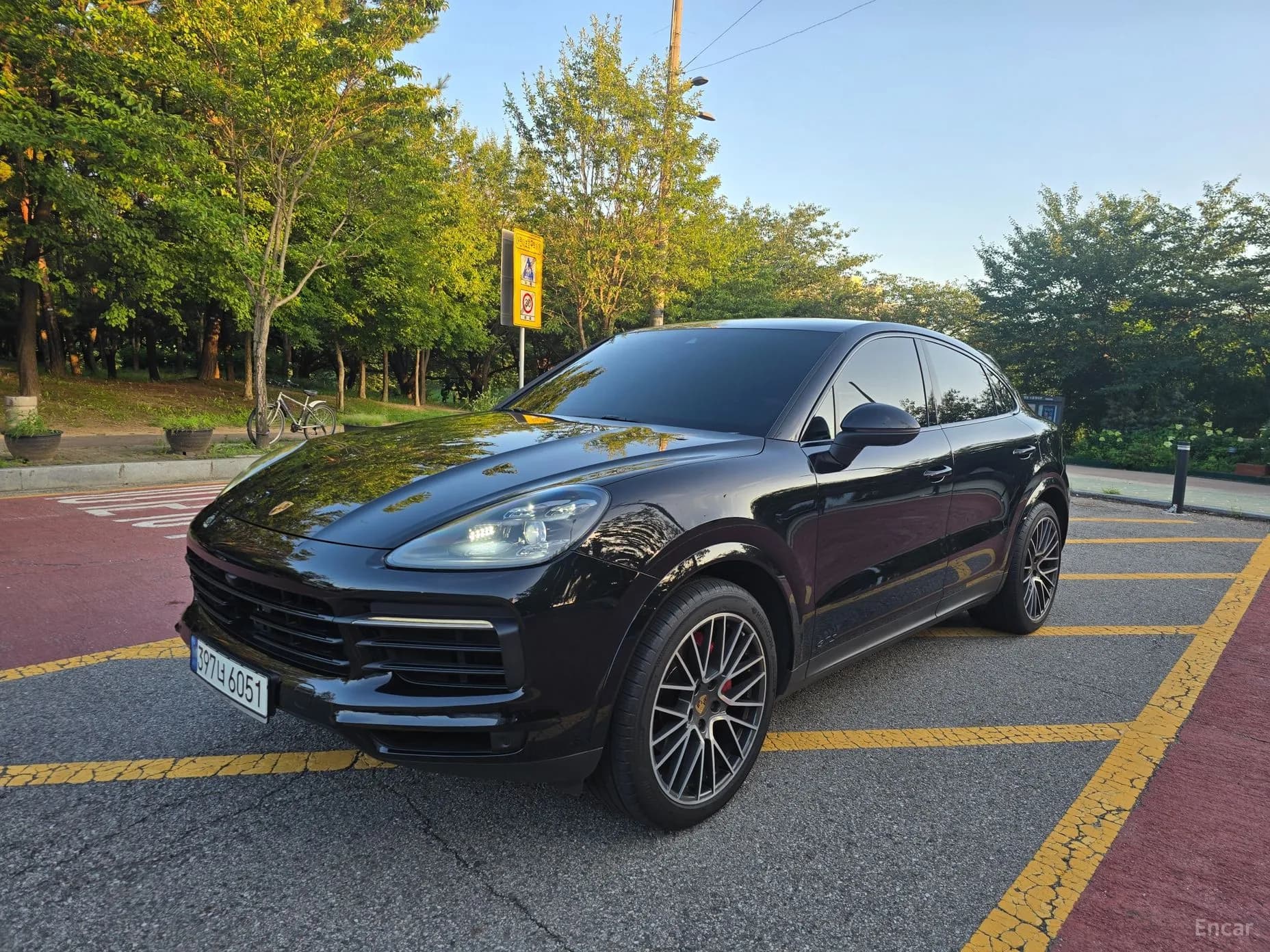 Cayenne (PO536)