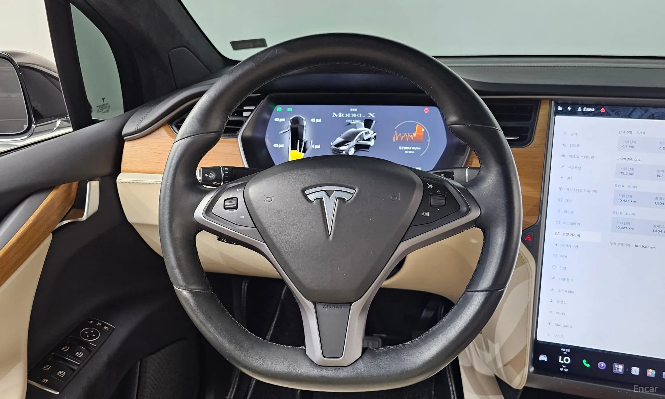 Model X