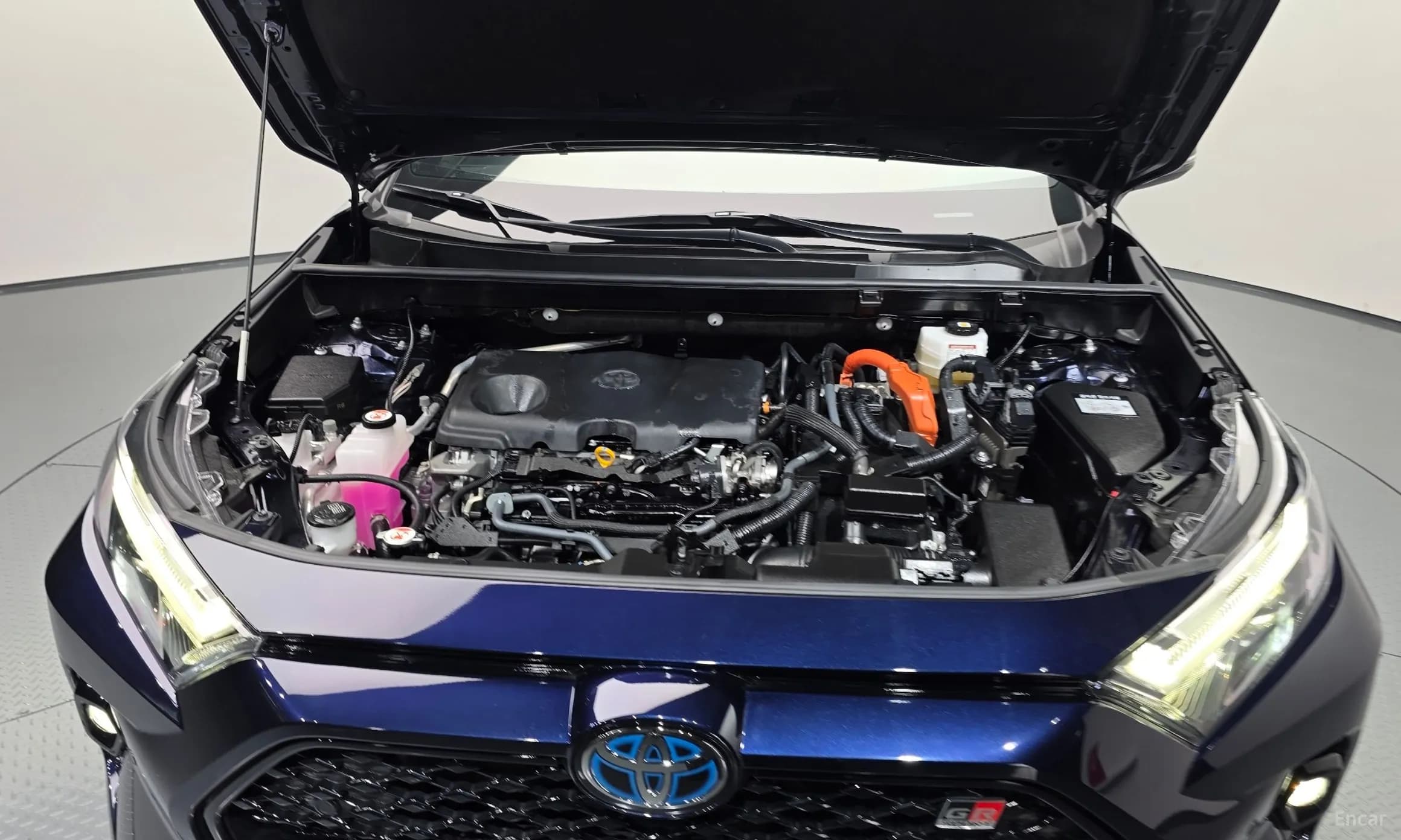 RAV4 5th Generation