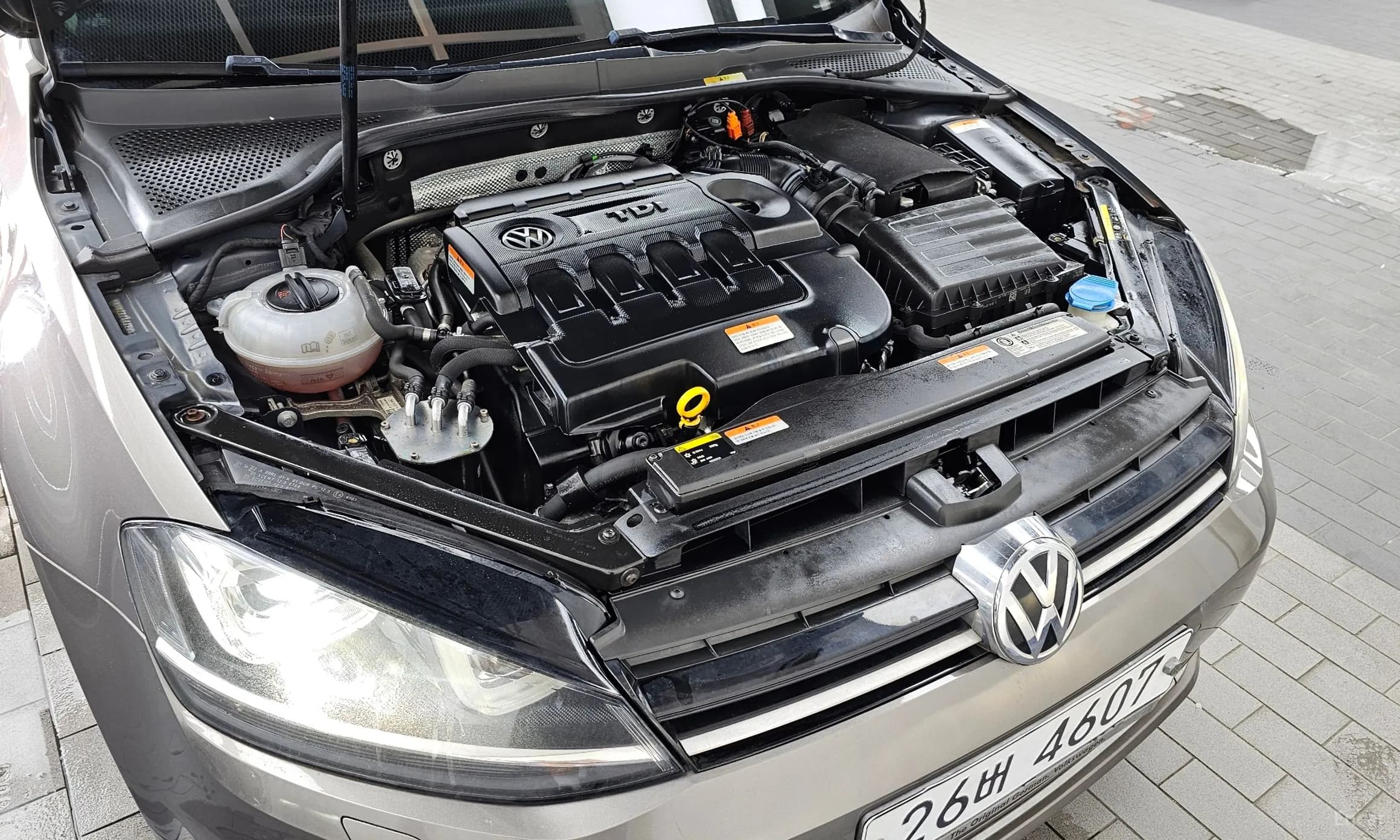 Golf 7th Generation