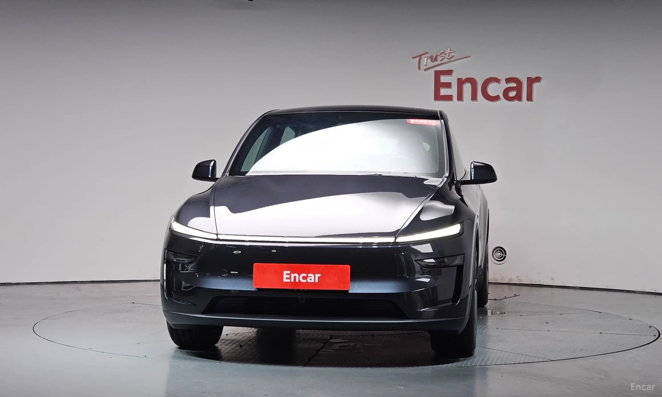 Model Y