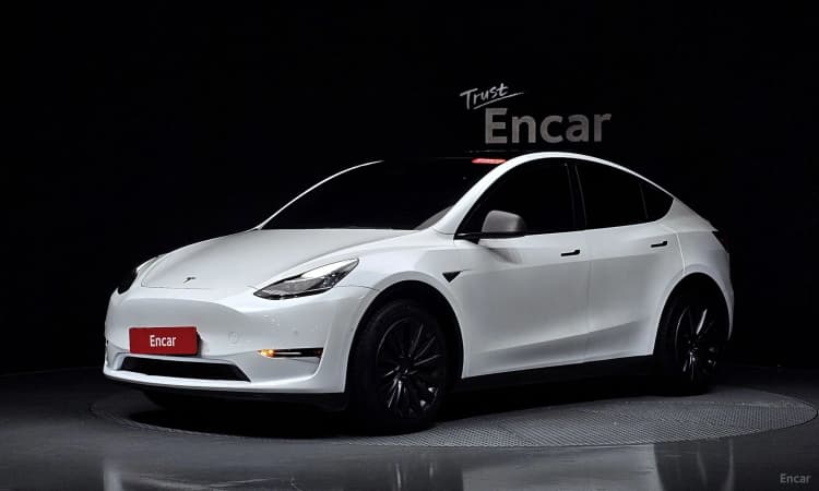 Model Y