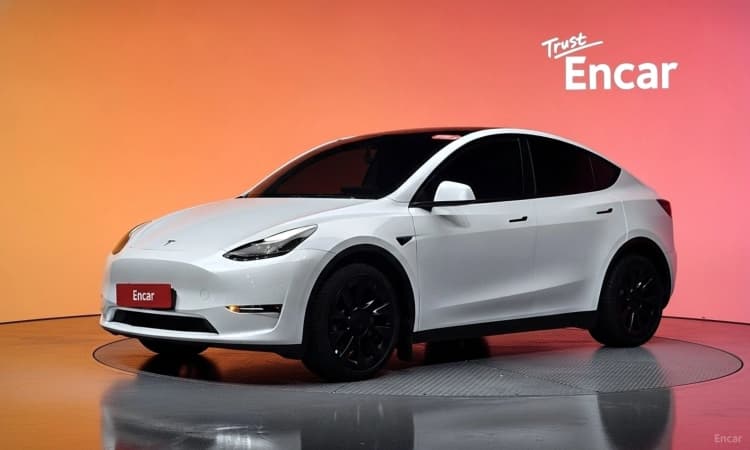 Model Y