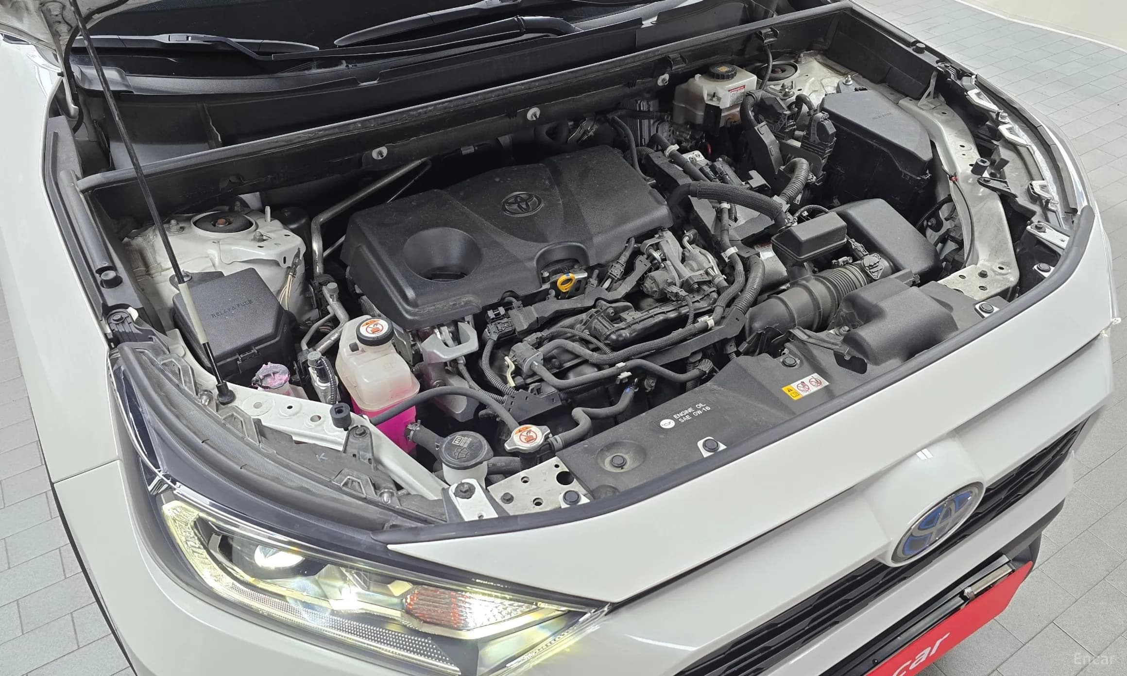 RAV4 5th Generation
