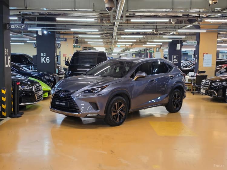 NX300h