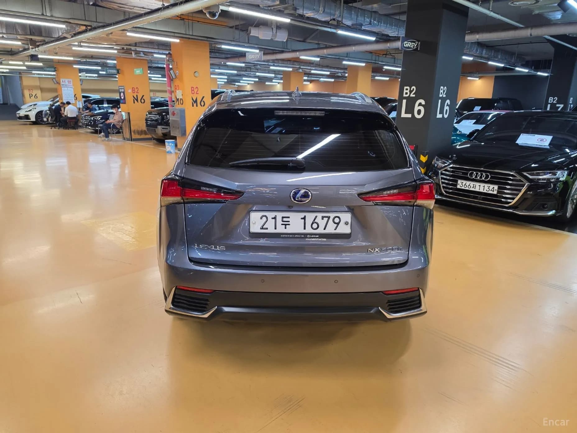 NX300h