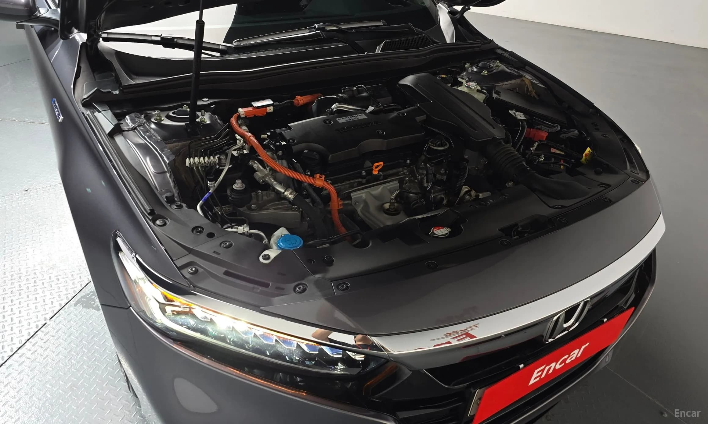 Accord 10th Generation