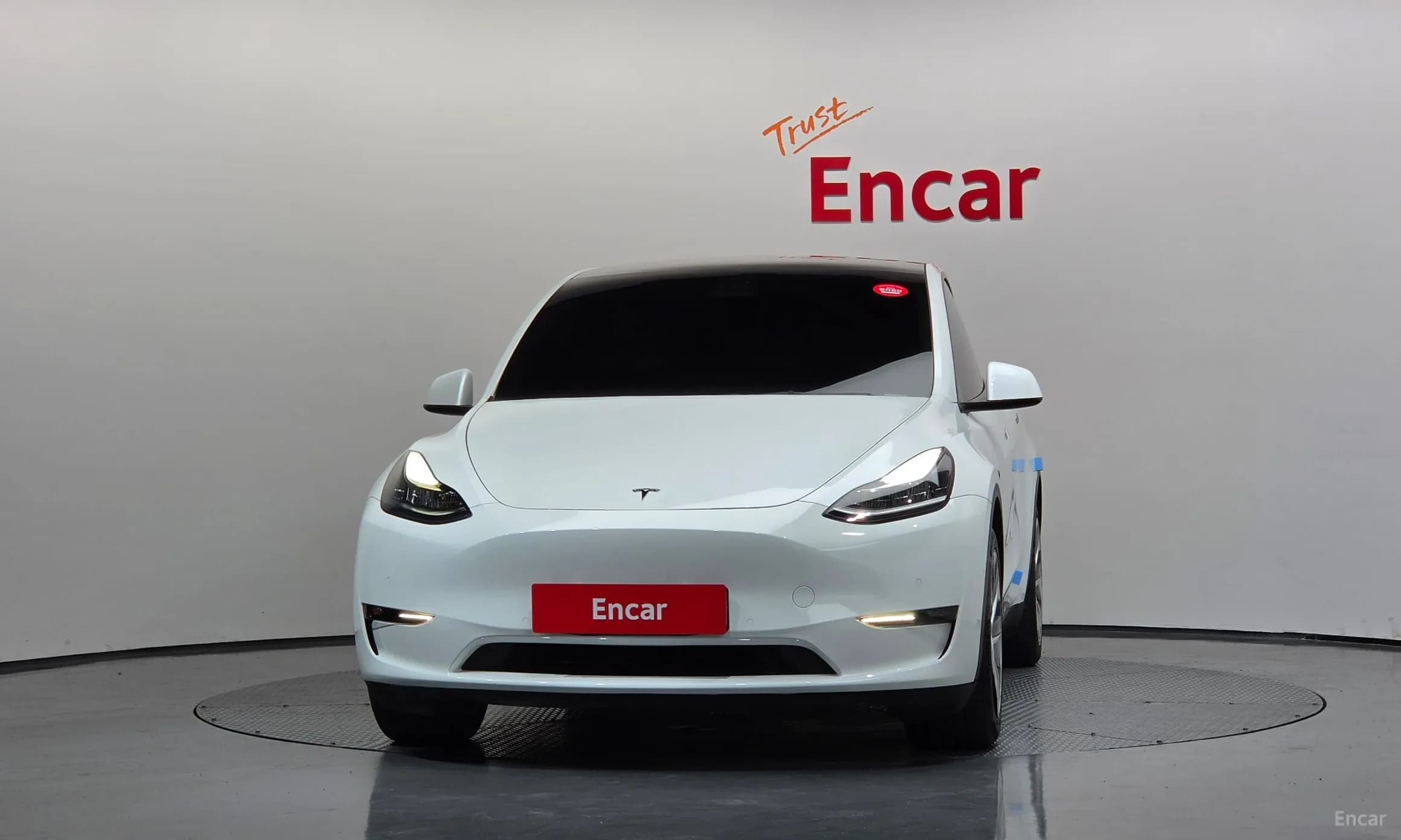 Model Y
