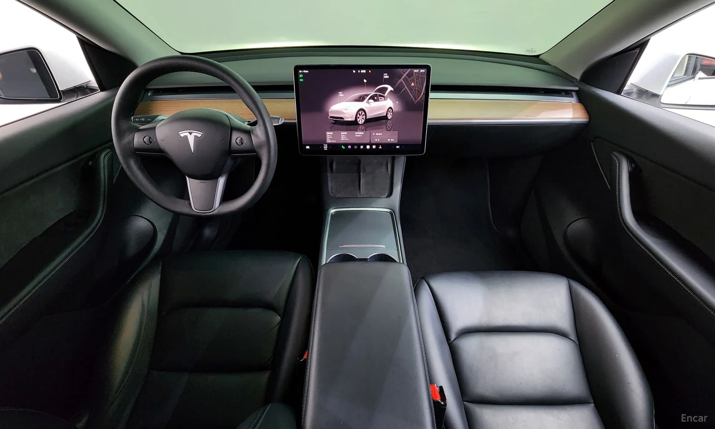 Model Y