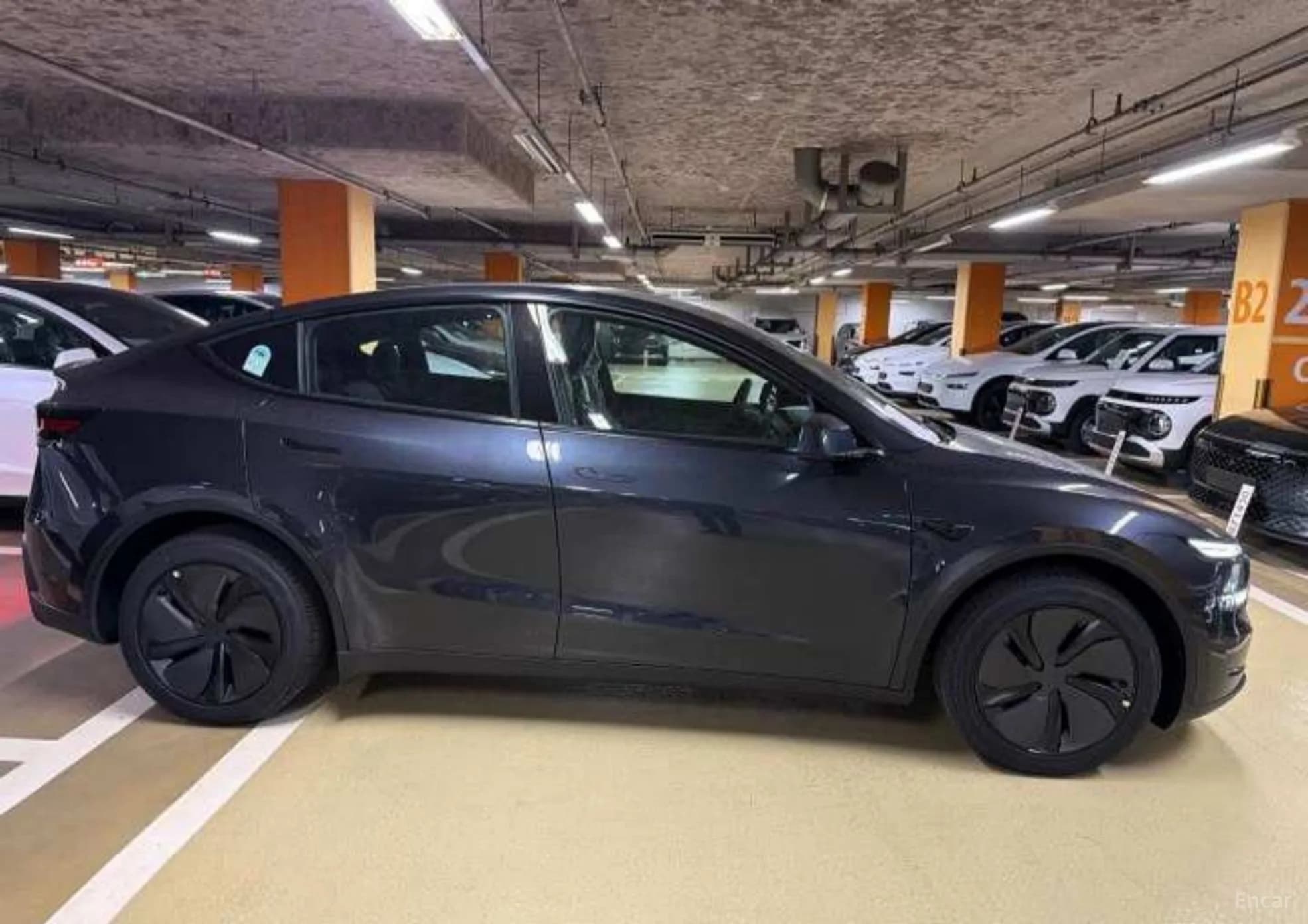 Model Y