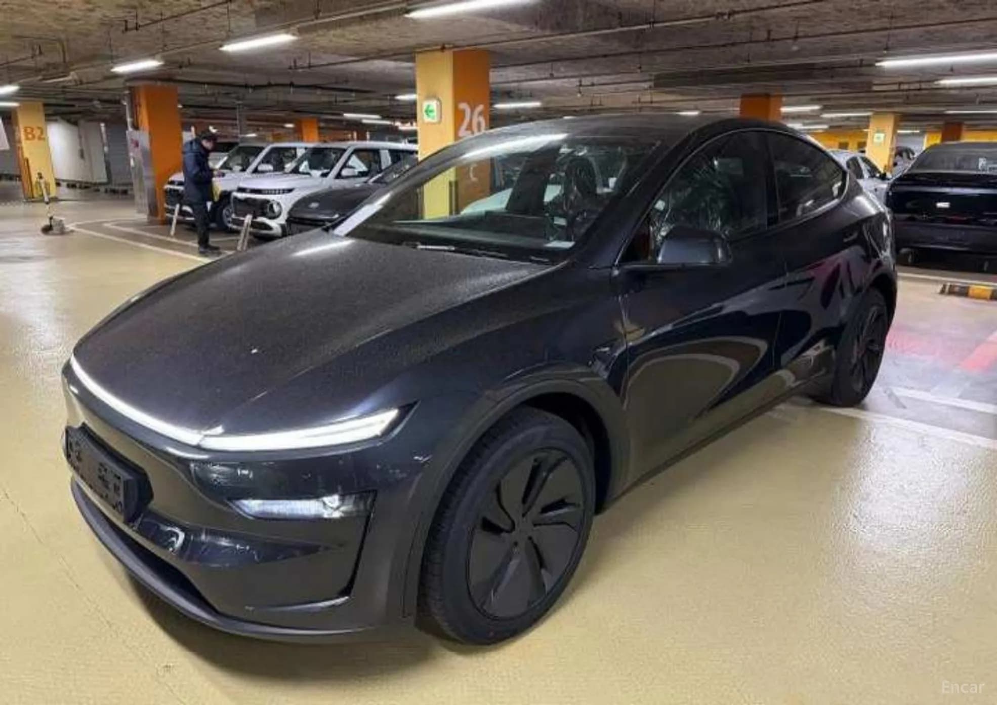 Model Y