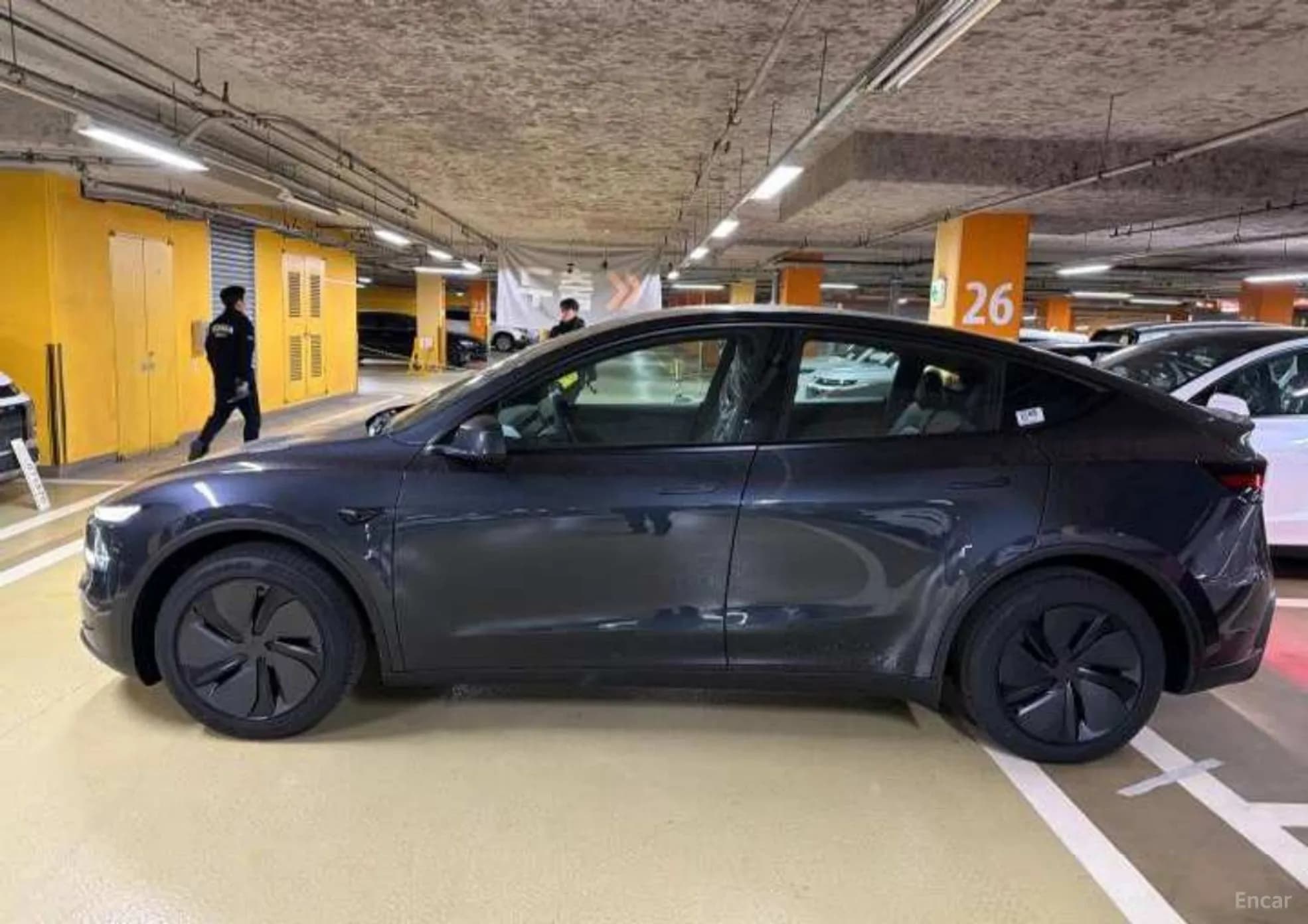 Model Y