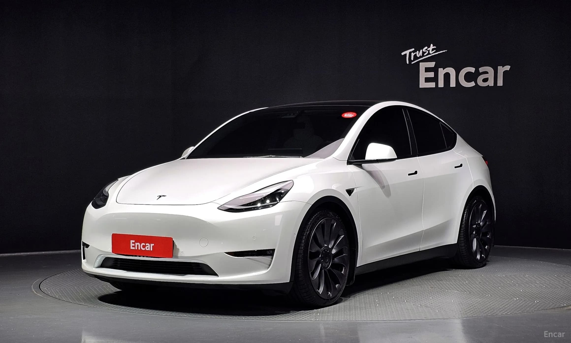 Model Y