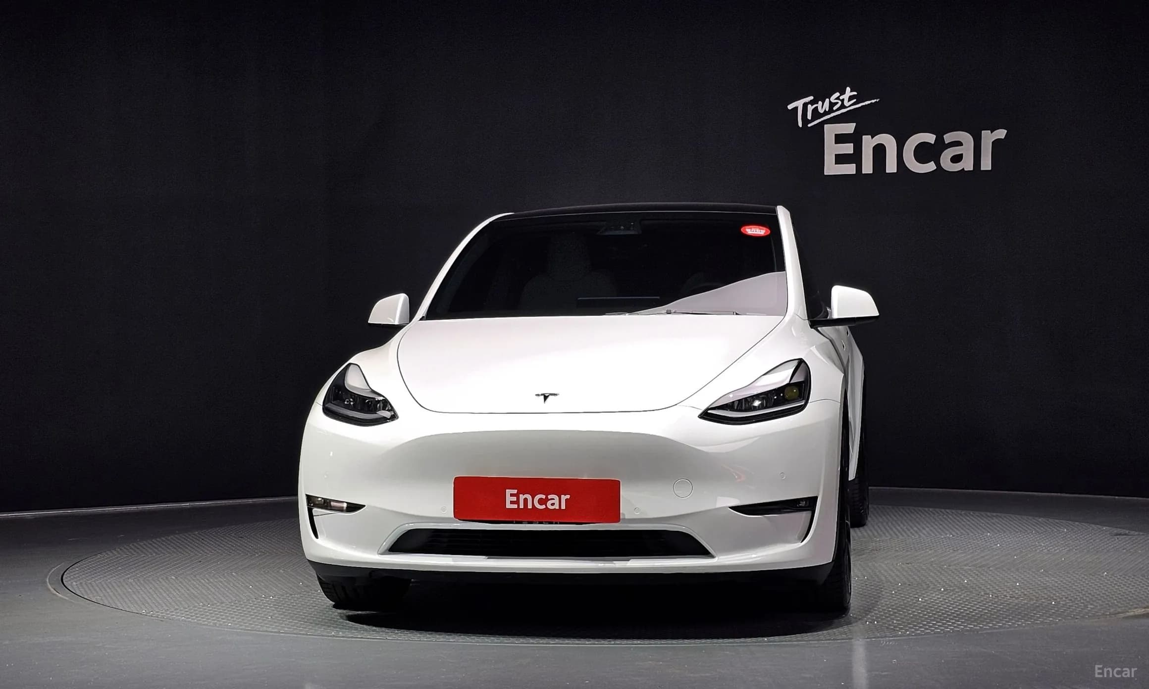 Model Y