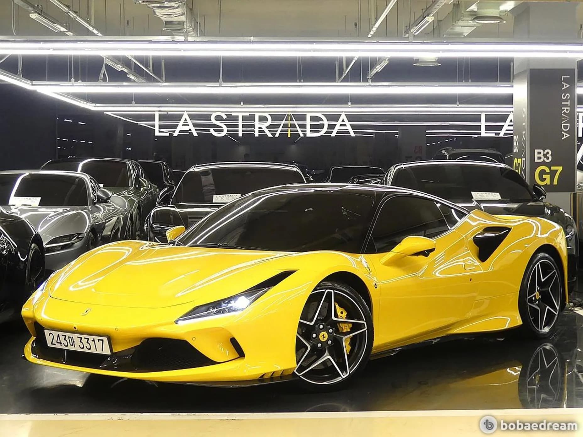 F8 Tributo